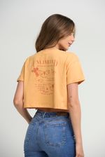 CAMISETA-11565814-NARANJA-CLARO_2