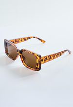 GAFAS-19204833-CAFE_1.jpg